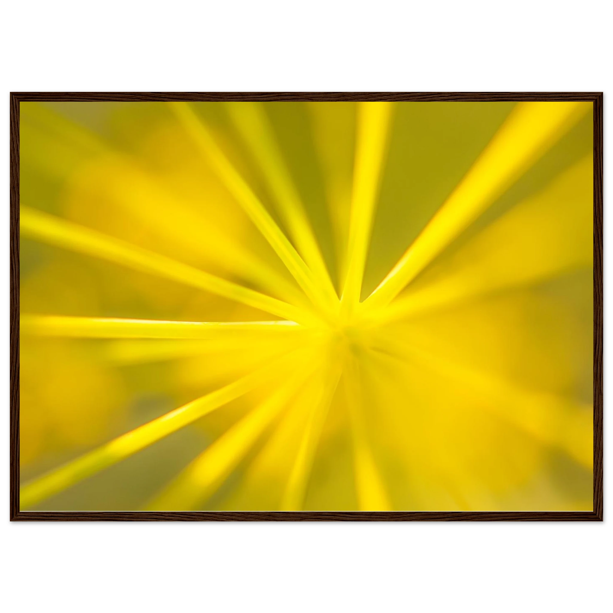 435bd2d0-92d8-482e-b851-0249124c2035