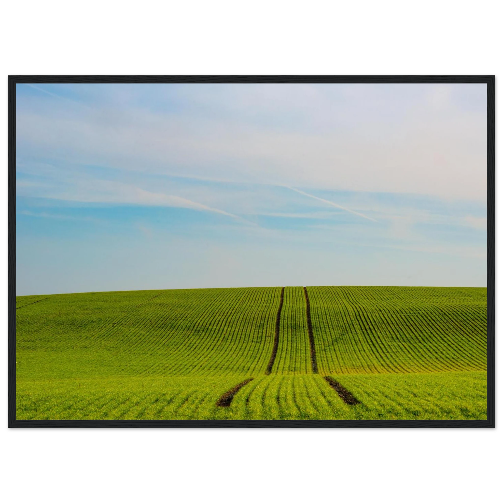 4475a529-43c0-4296-82d1-e3b73fc94a3b