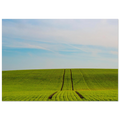 44ba7b2c-a5e3-46e2-93c1-7c363d63ac10