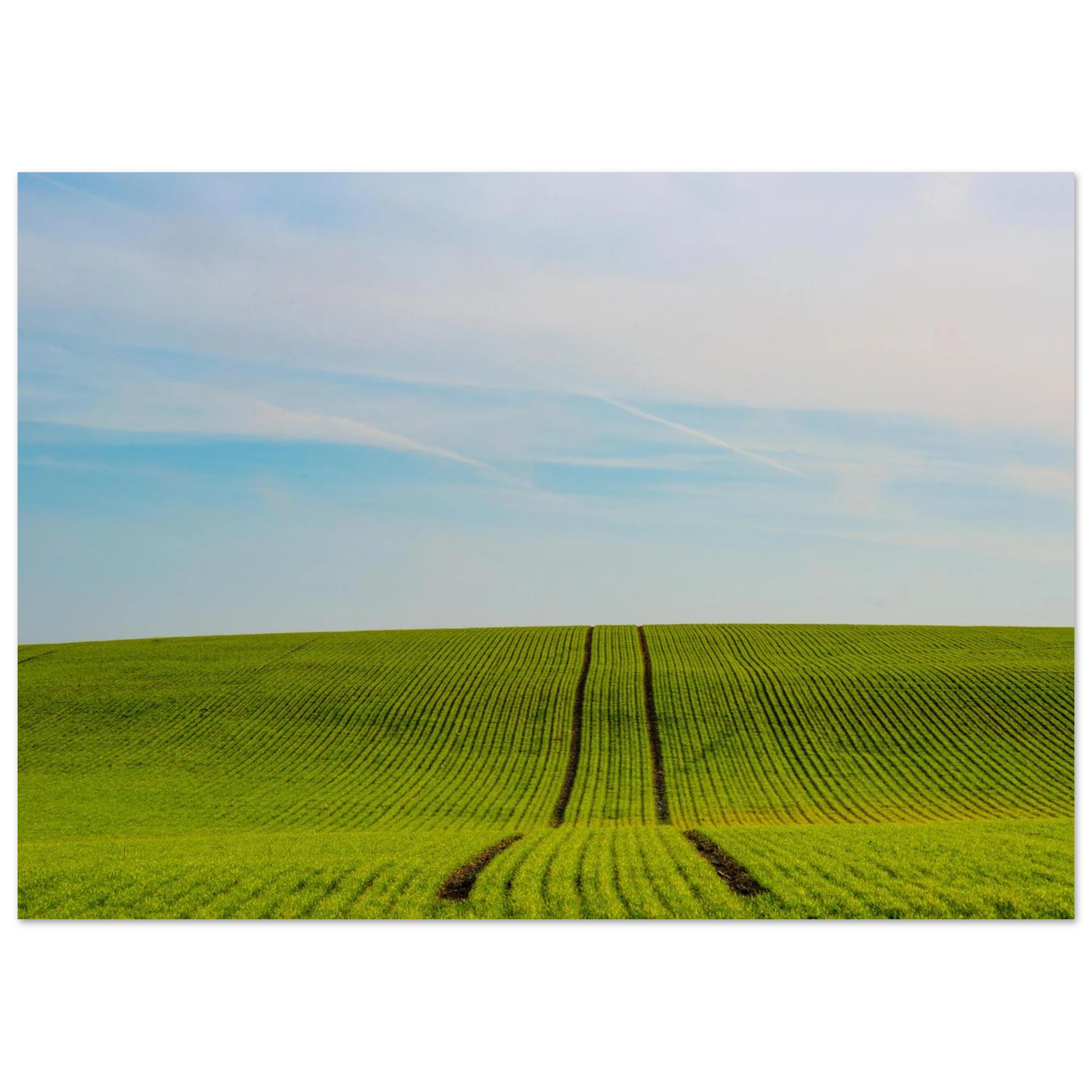 44ba7b2c-a5e3-46e2-93c1-7c363d63ac10