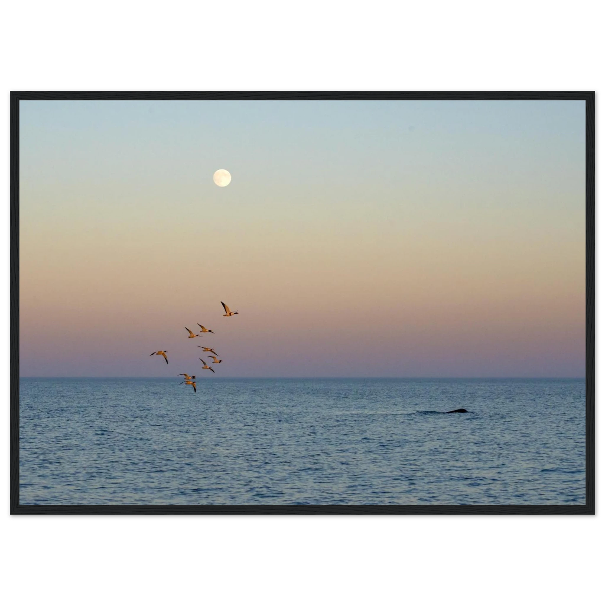 44ca6c68-025f-43e1-8562-cb43f6e68180