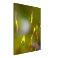 44dbfab7-2d1a-4f66-8da2-b20b47cbdb1c