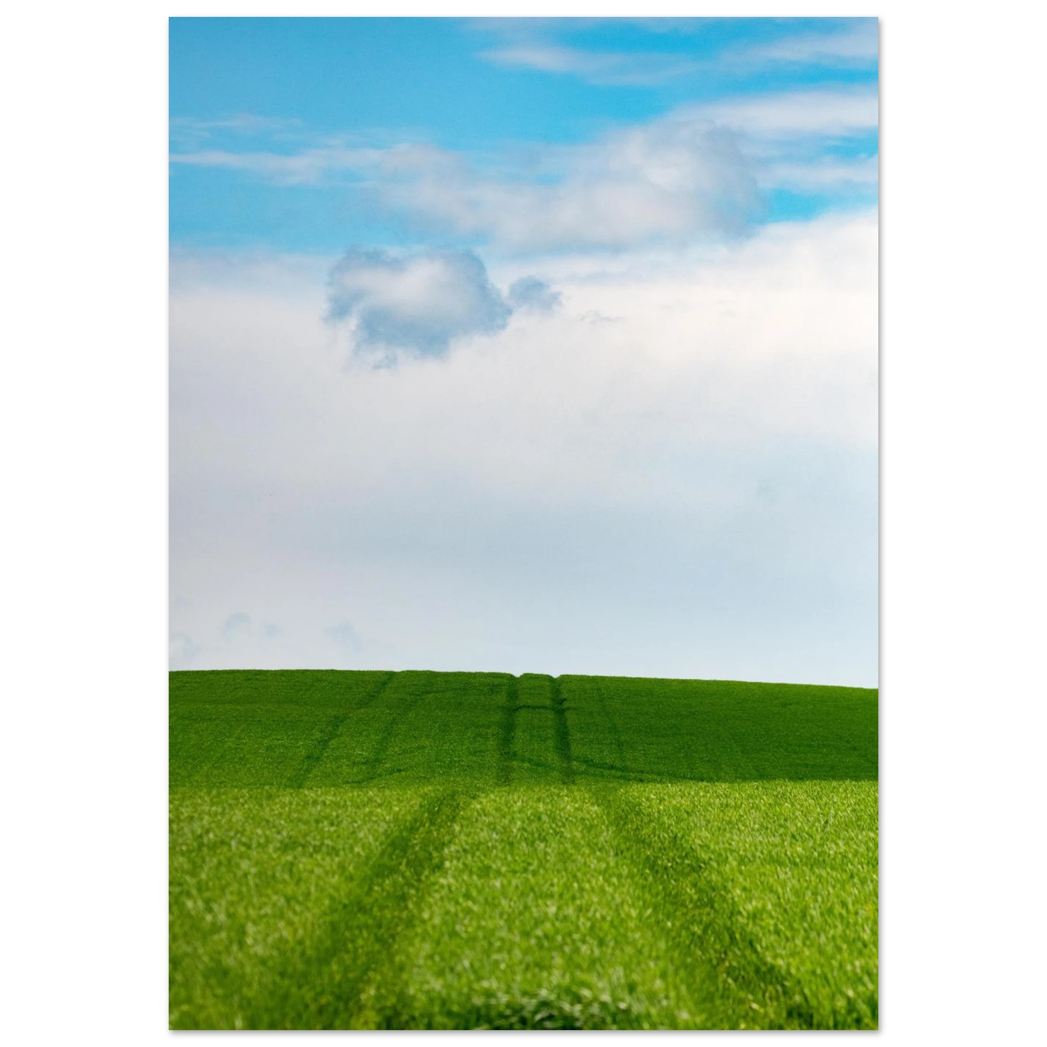 456371a7-b6a6-4277-a9d7-fccfd02fd0de