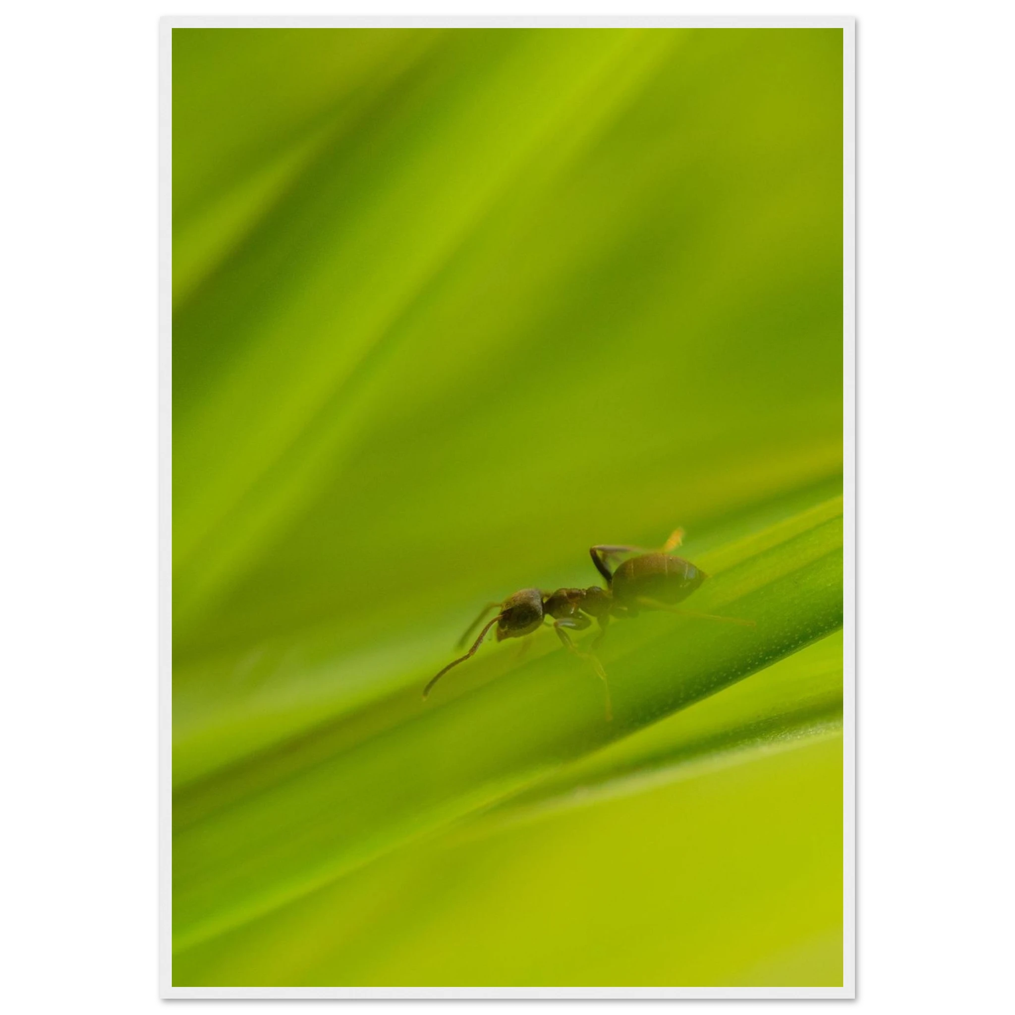 45f3a8fd-6958-4031-b6fc-cbfd874a8e7f