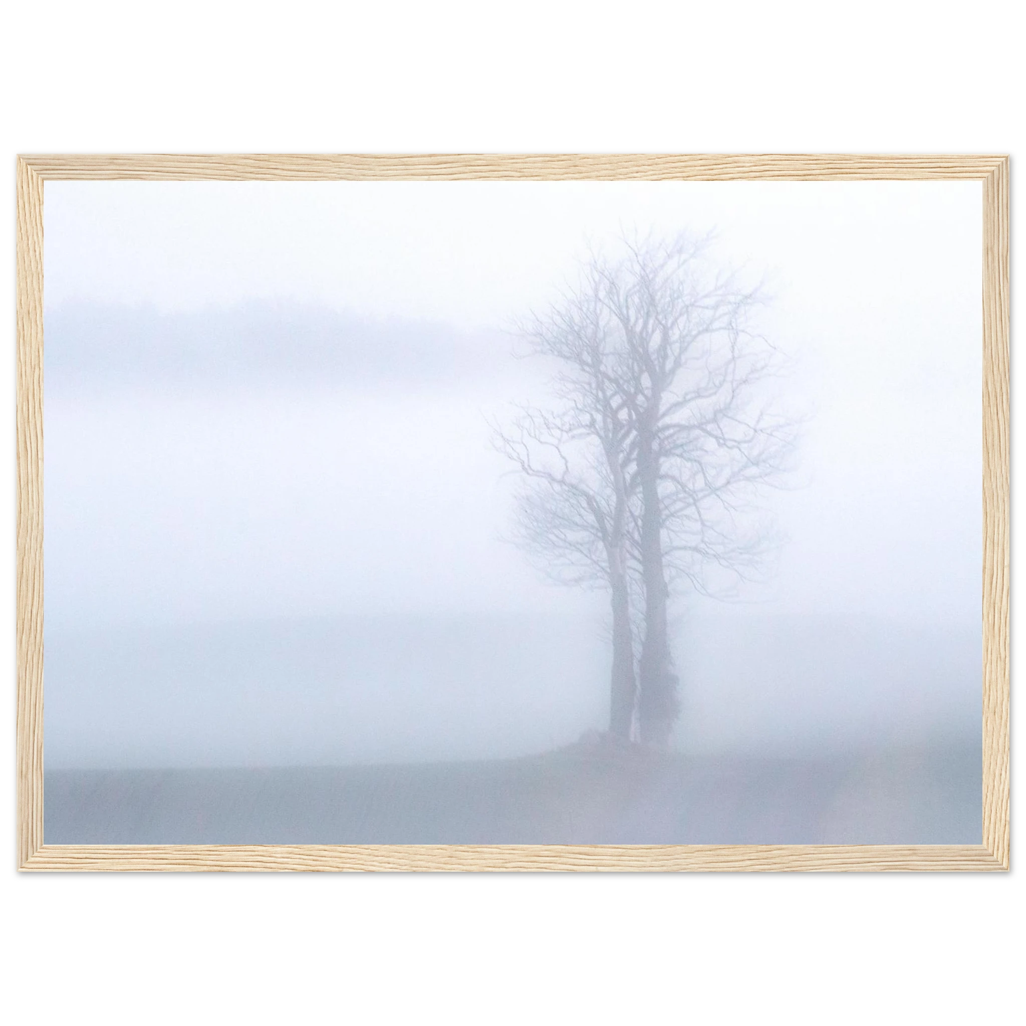 4a2e5381-905c-4503-b711-31be41ba5898