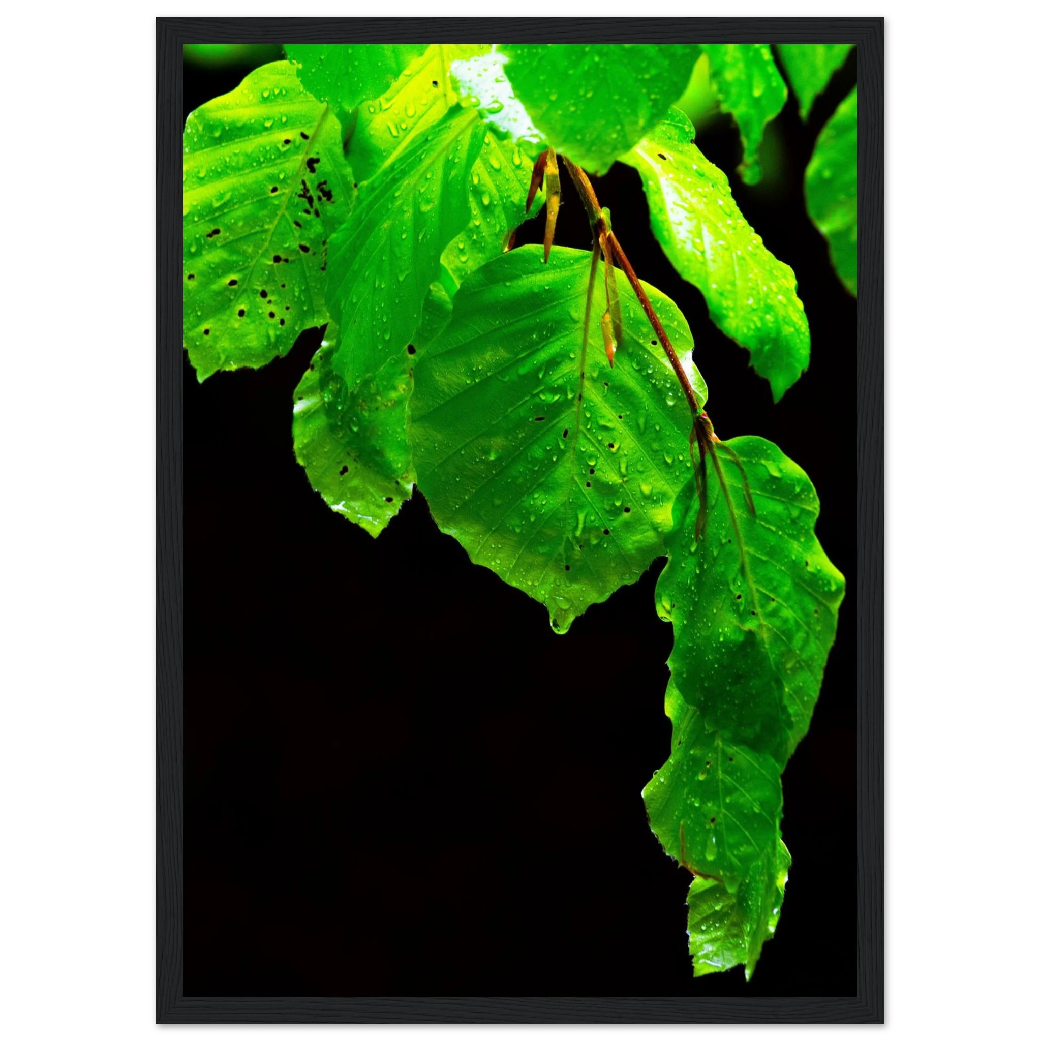 4a6476e2-baf9-46fc-b421-5970dd85c87c