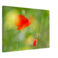 4a754a46-2bf0-4cbb-877a-74dc09c06521