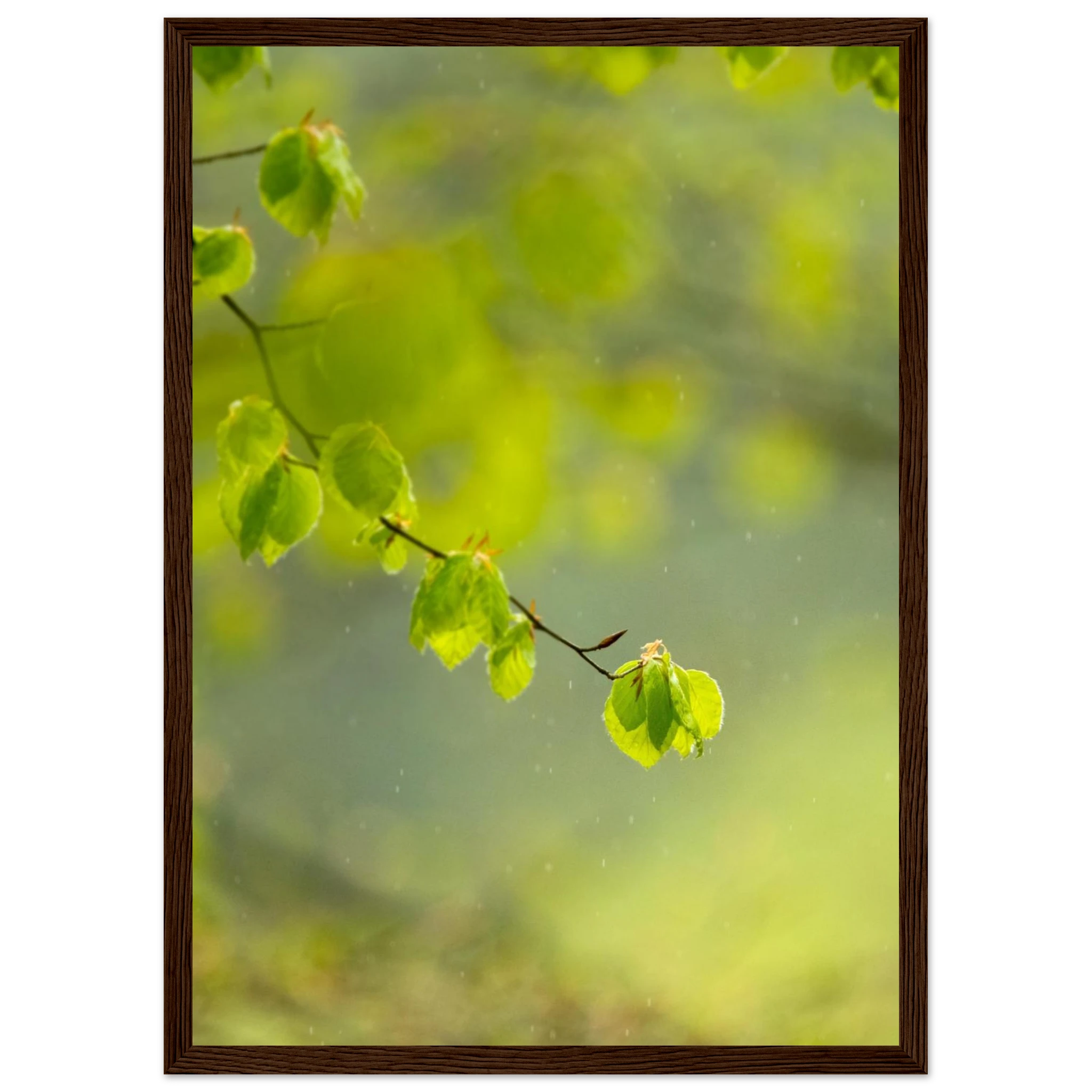 4b585feb-3095-4a7d-9e41-cd9a137da857