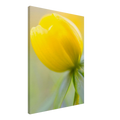4b6fa73a-7b01-4af8-8a3d-1454c9d3722f