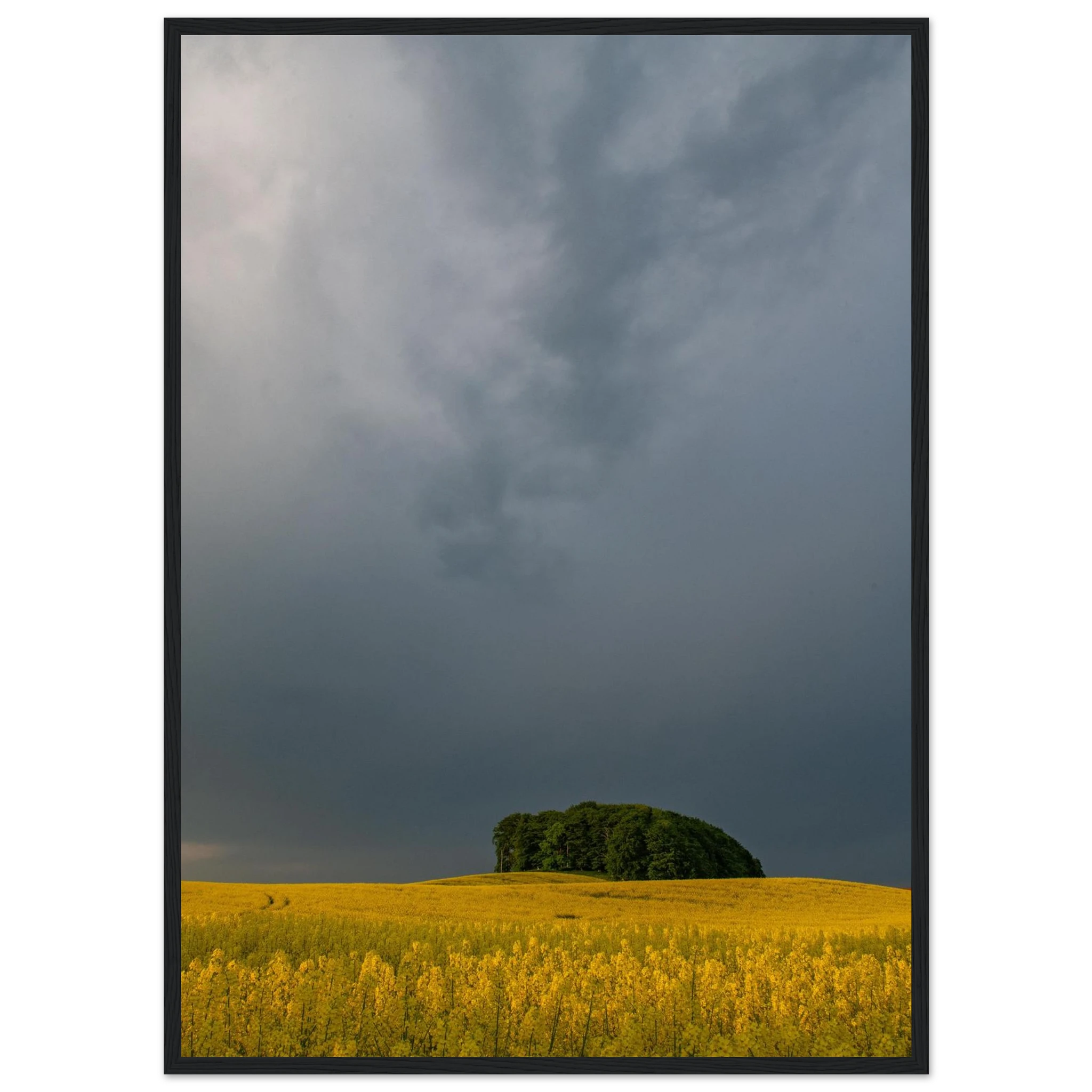 4b8688ff-f0d1-4f5b-ba7d-e52b16a98634