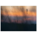 4bf332b7-1073-439f-9b99-b42a068ba53a