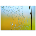 4c2b543d-69a9-4e04-8a4a-288e478e0c6a