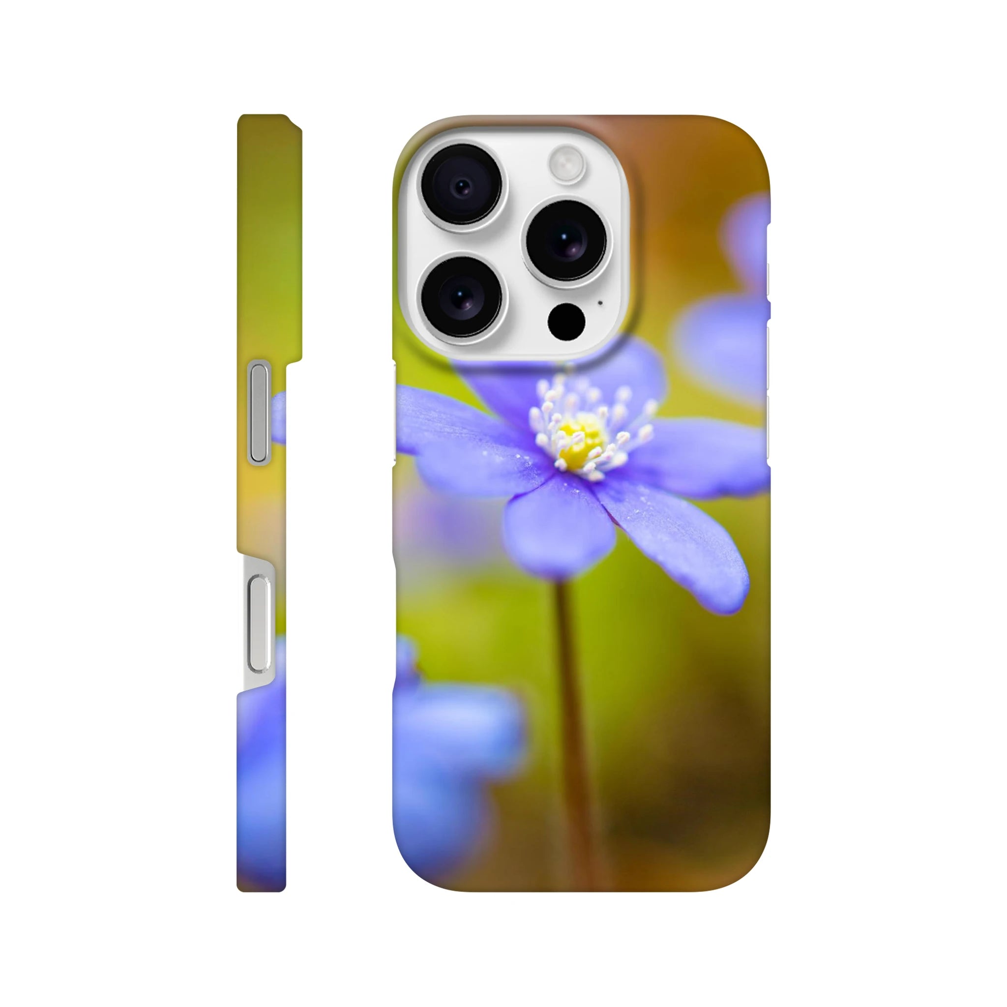 4c6d61bb-f3a4-4918-85e5-347c17dd544f