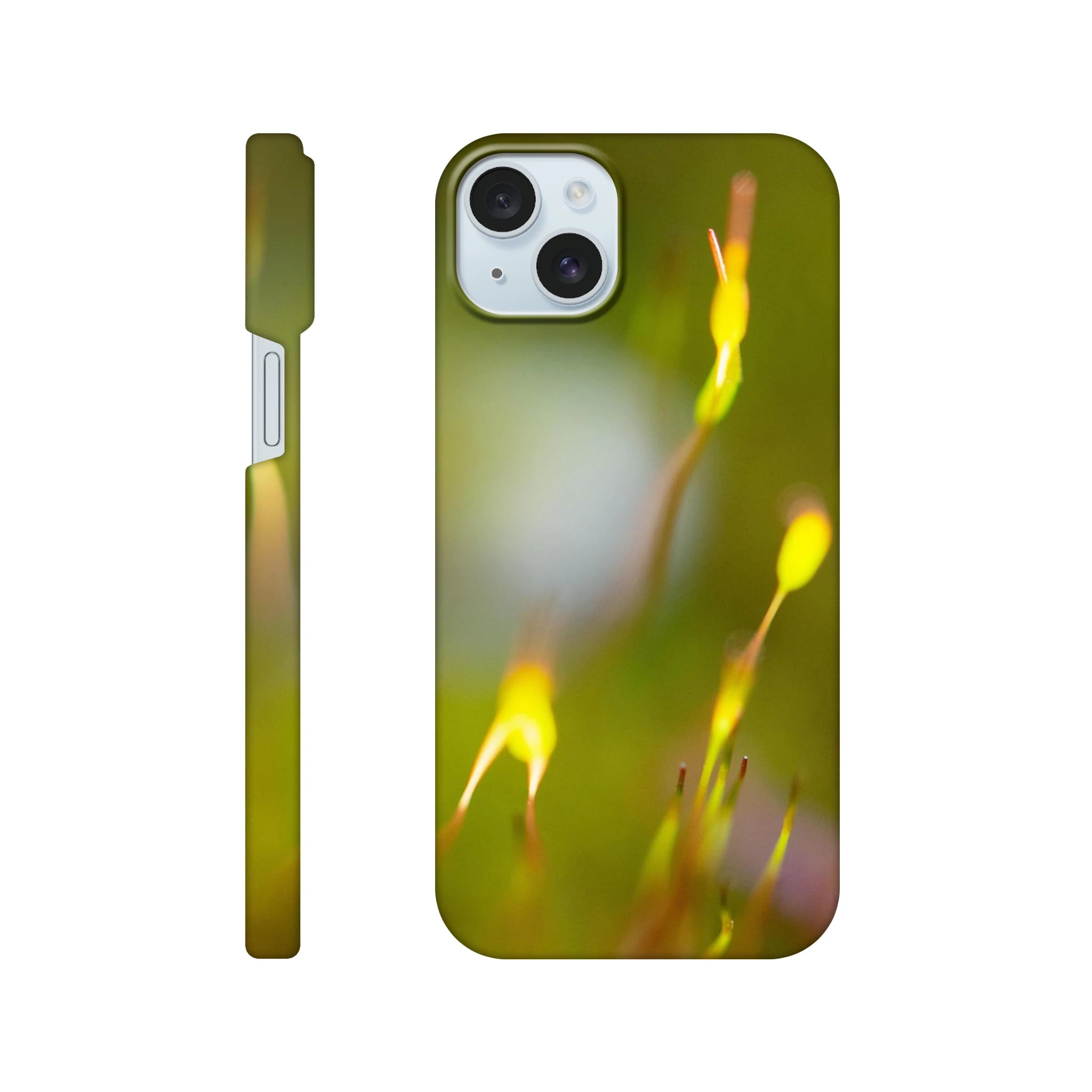 4d3d4067-bcc9-4d97-92ce-6e710ea51377