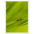 4dbad3d8-2bfd-4ffa-982e-9670bb000b89