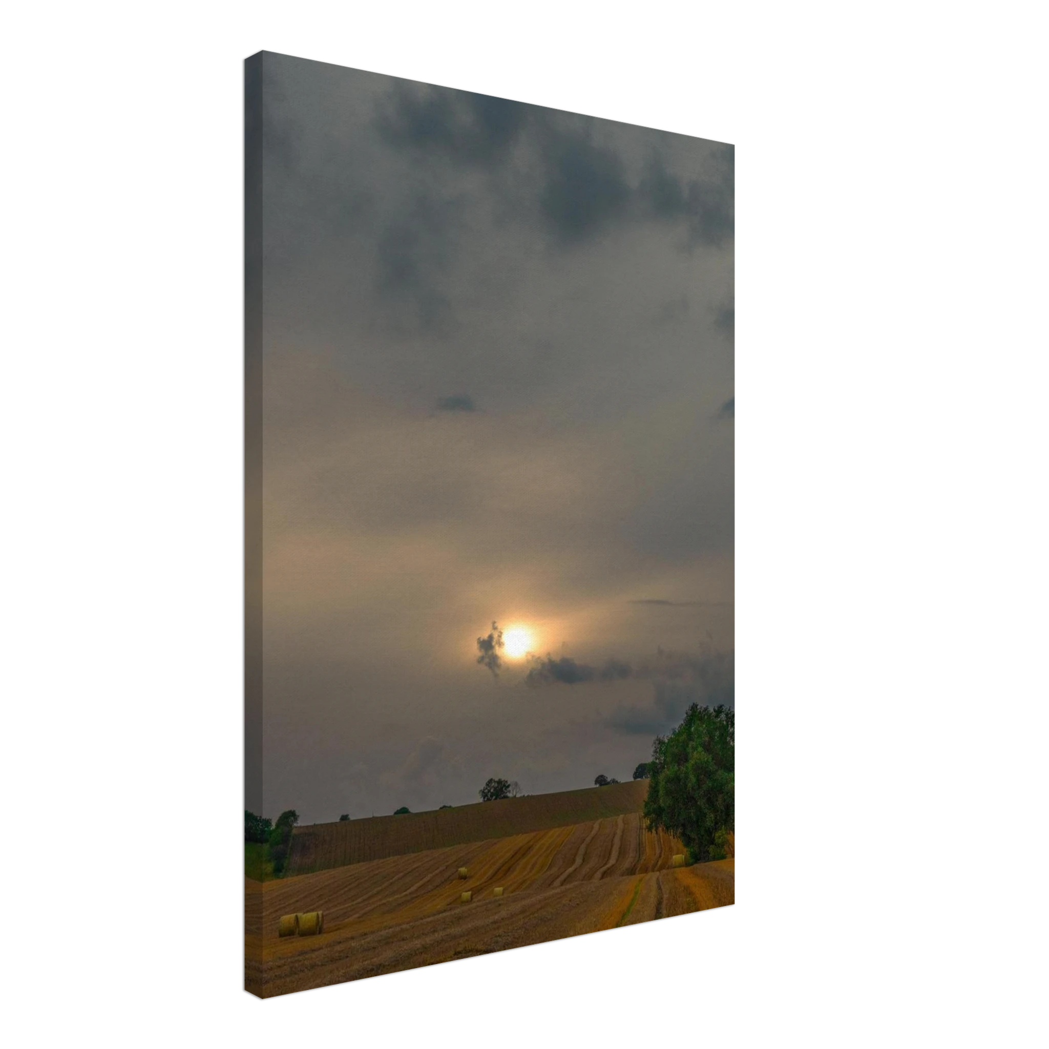 4ee5d43d-3c04-4552-a894-0081ebee4215
