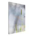 4f07af97-b7a8-4aa2-b81c-ce7deca19988