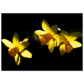 4f39bf4a-cef3-4376-b905-511f75d7bc66
