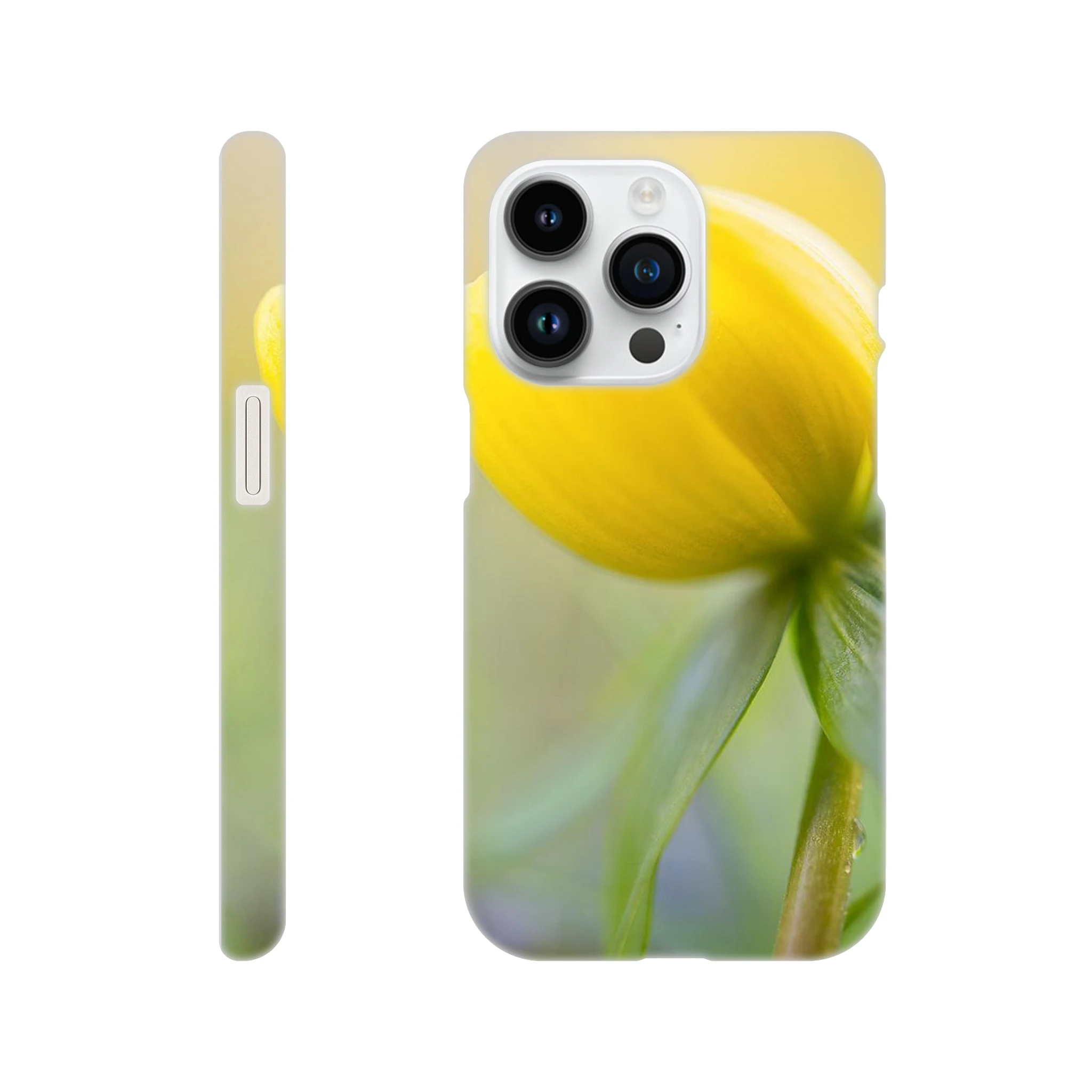4fcf18fb-f399-46b1-9aa7-c4ebd40e3afc