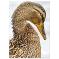 509995b2-c8f0-47ad-aac8-7ffb71b566cc