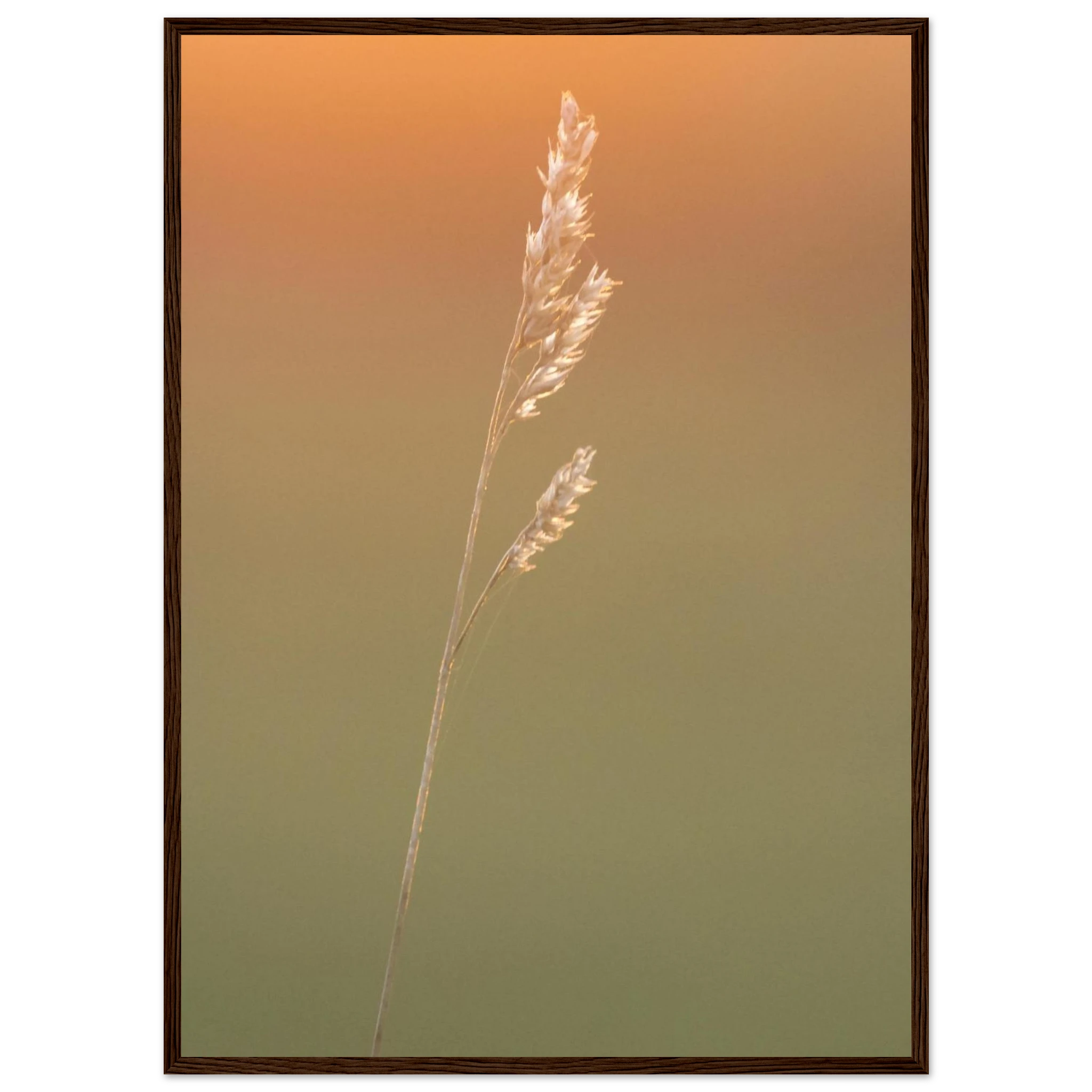 51a0ca80-95b5-4cad-baef-32a5f22f8f0b