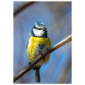 5206c797-e81c-46f1-9ba1-776350dbf840
