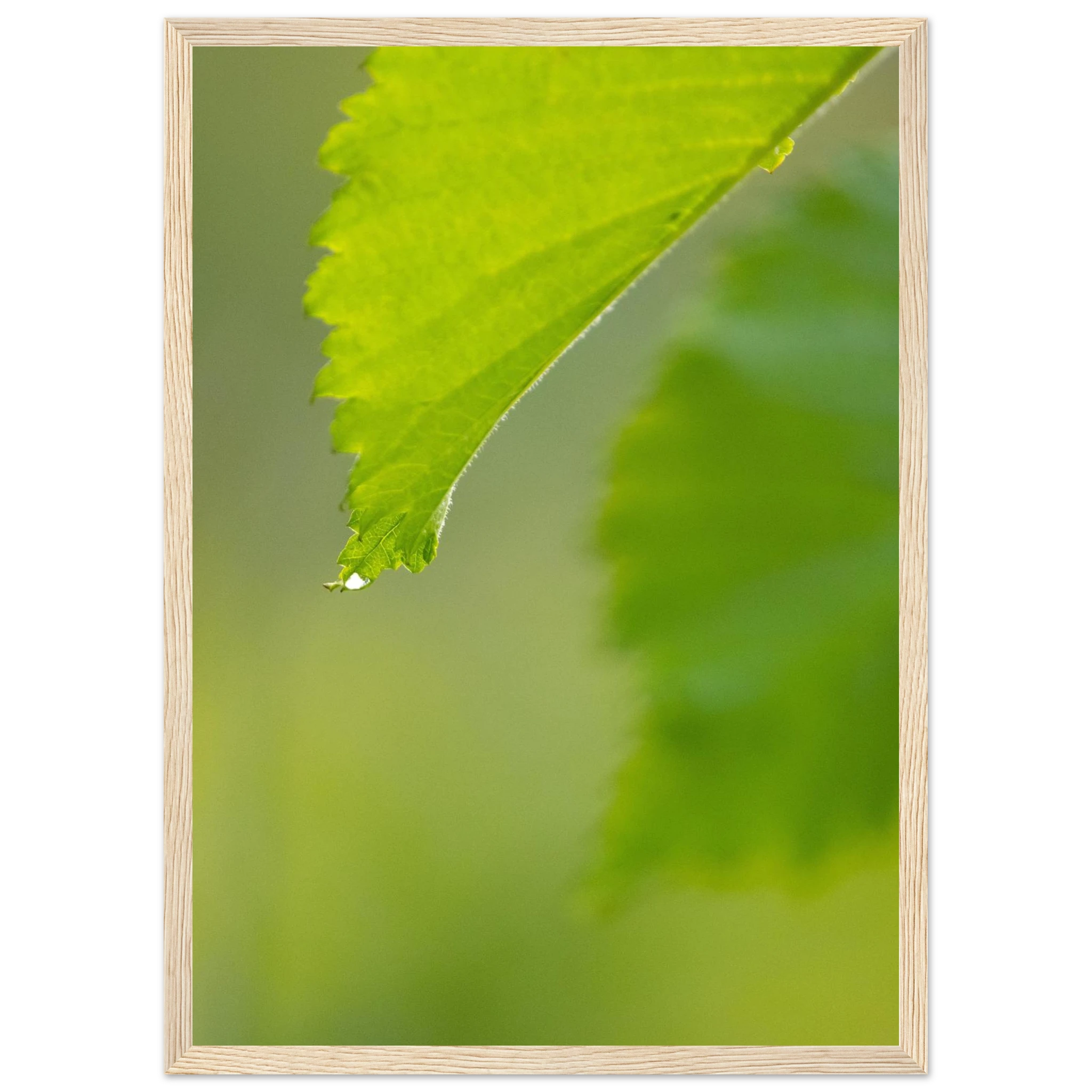530a9553-749f-4d0d-aae3-4243a92e46f7