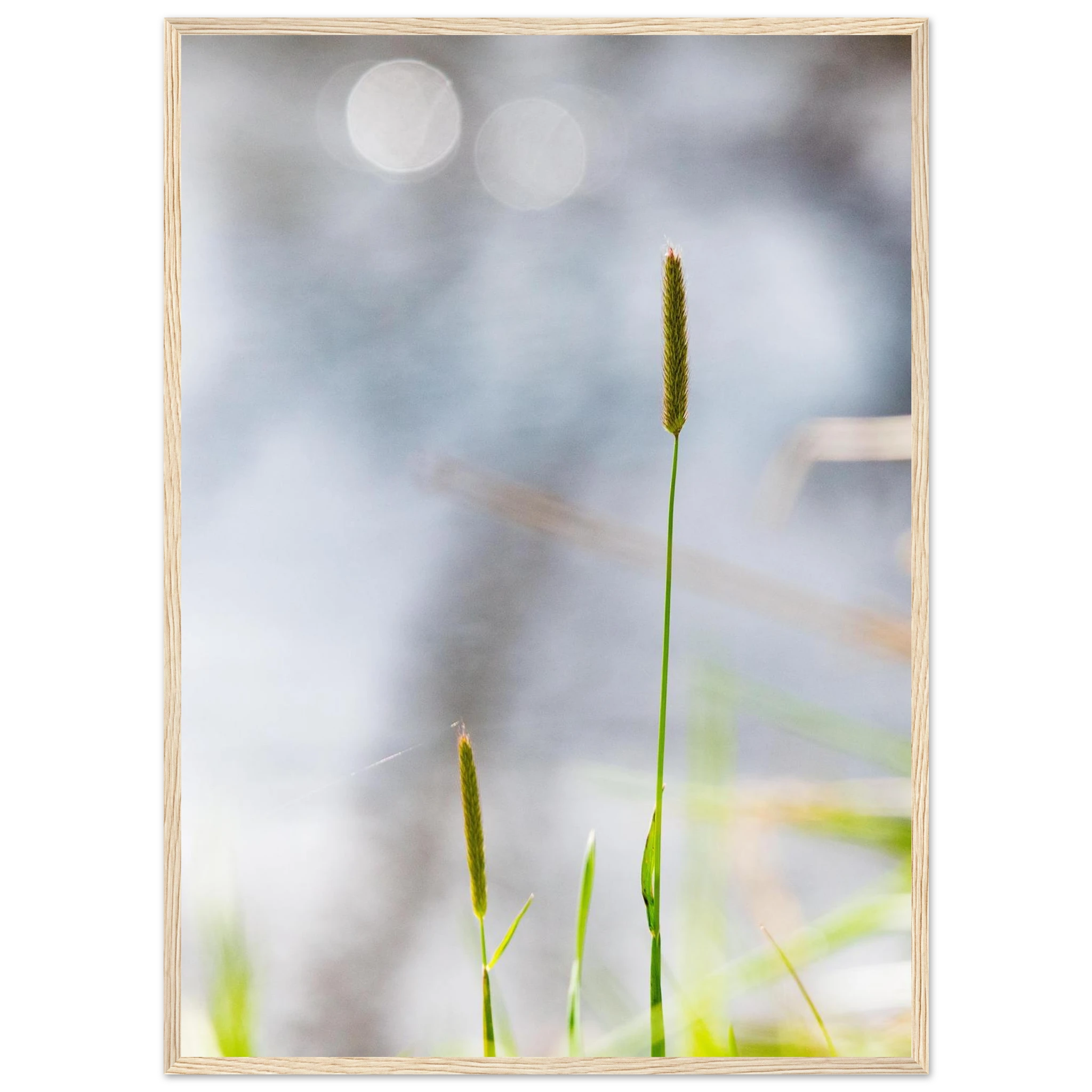 5382b009-a6cf-4950-9dfd-f0987efc5bc4