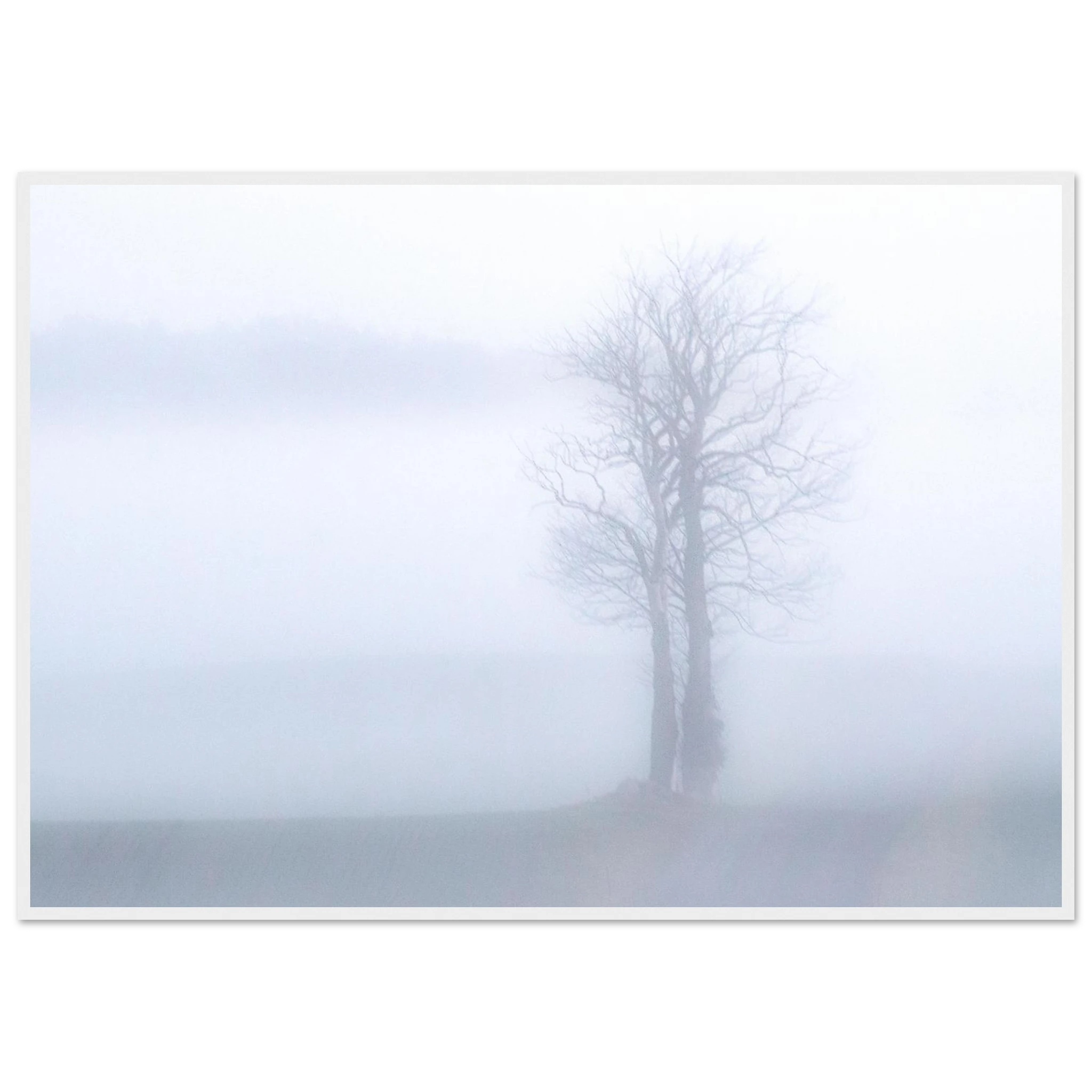 54a14162-95fd-40c2-9068-9a7a99c708dd
