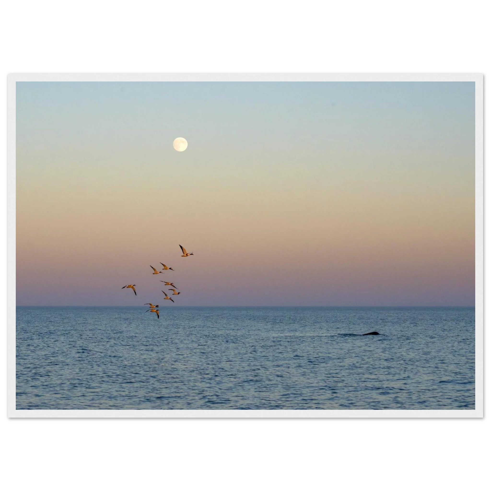 54a311a0-9816-44c6-876e-f49c9afe2e22
