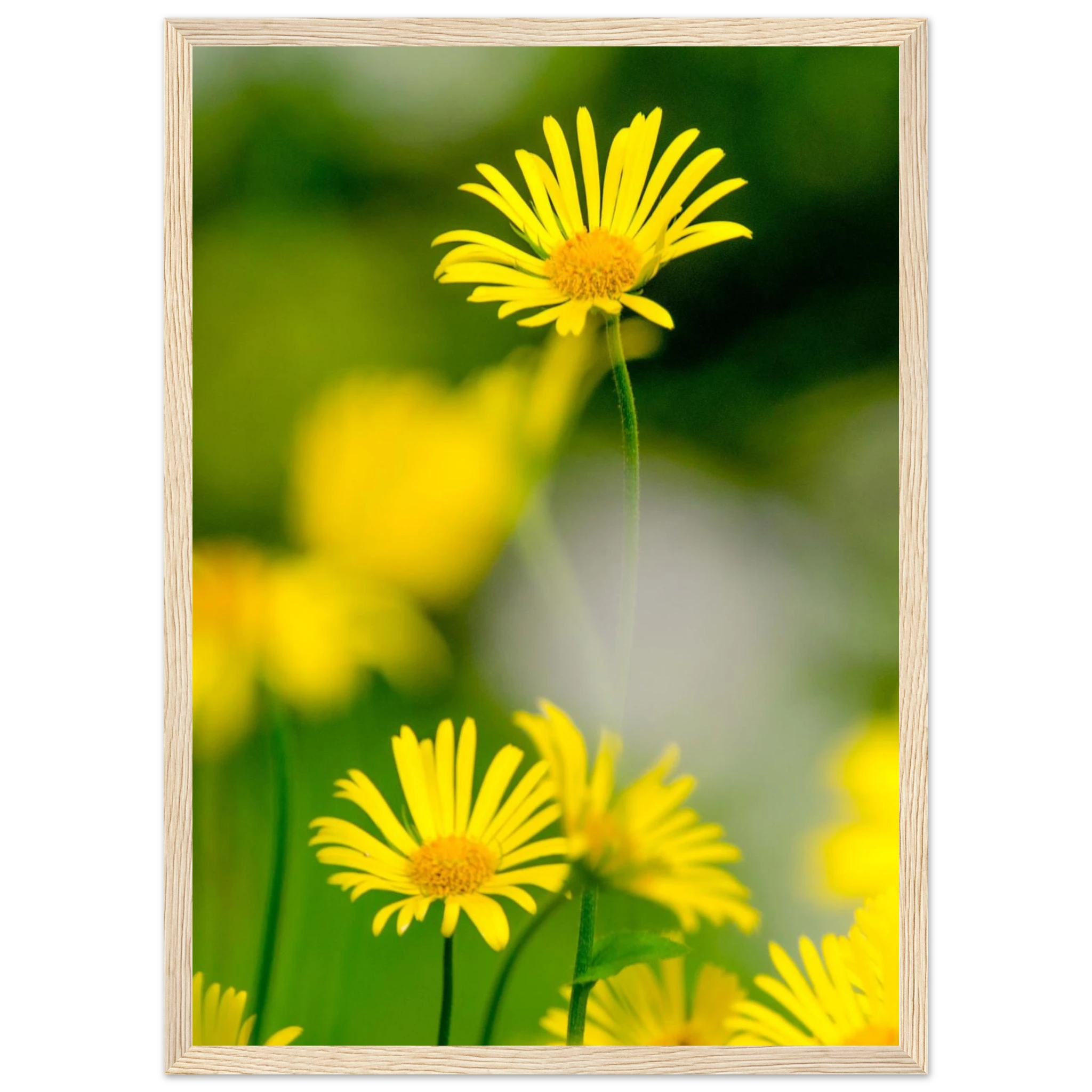 5534df71-094d-4d21-bd30-bafc1af8e9d3
