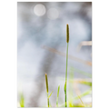 567ef843-bbfa-4597-b98d-0cf5a675d8fd