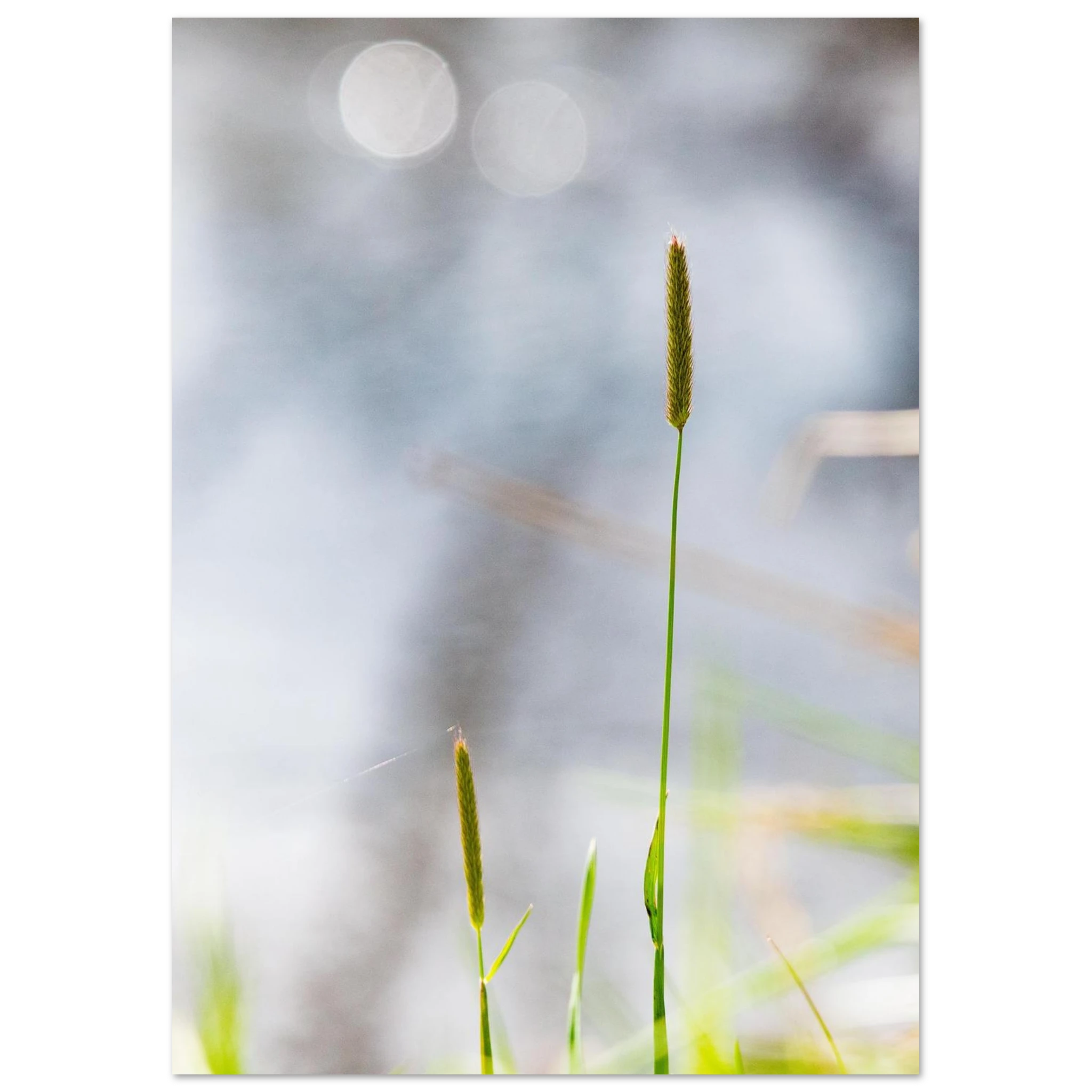 567ef843-bbfa-4597-b98d-0cf5a675d8fd