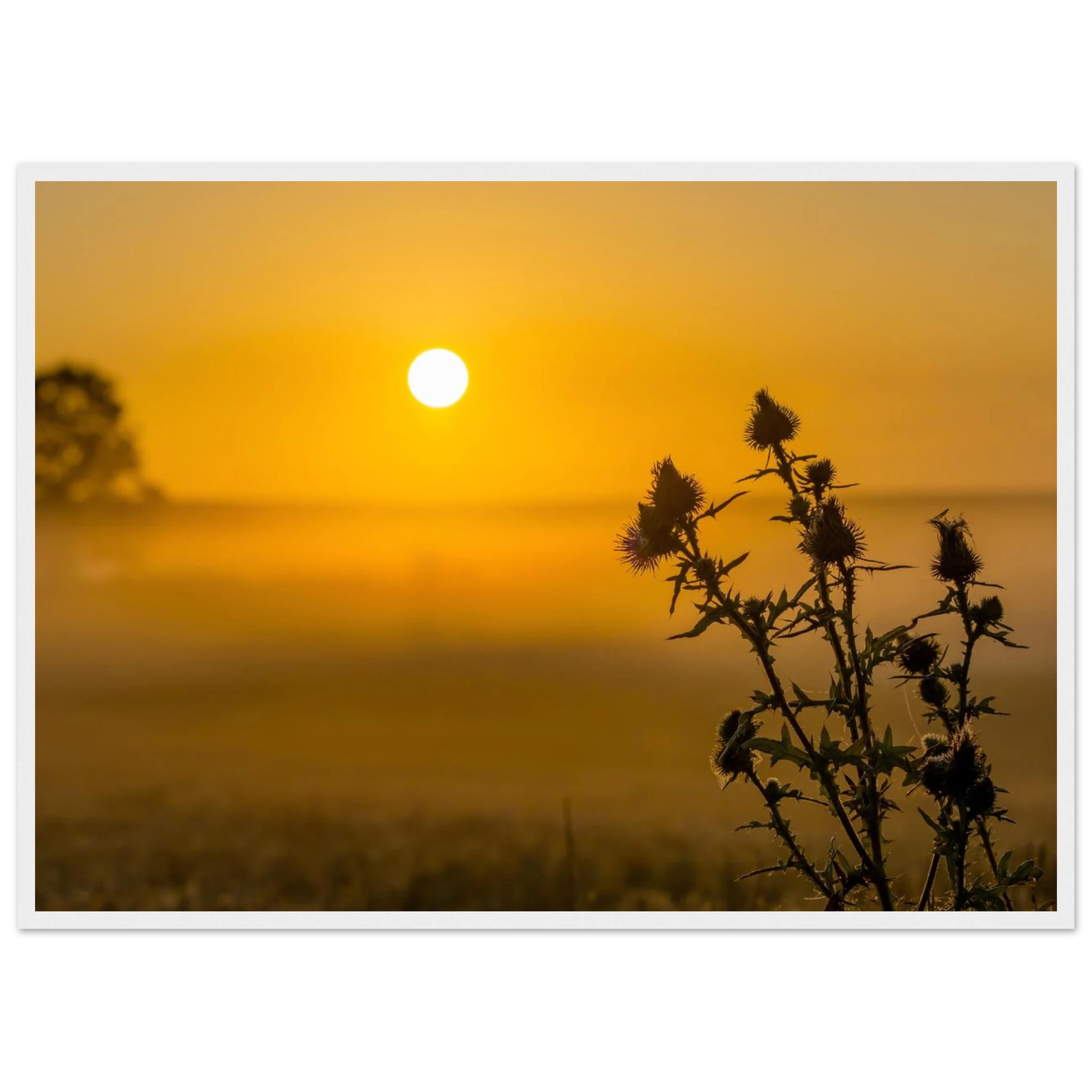 57dce6d3-f513-47b6-9881-137eddf976bc
