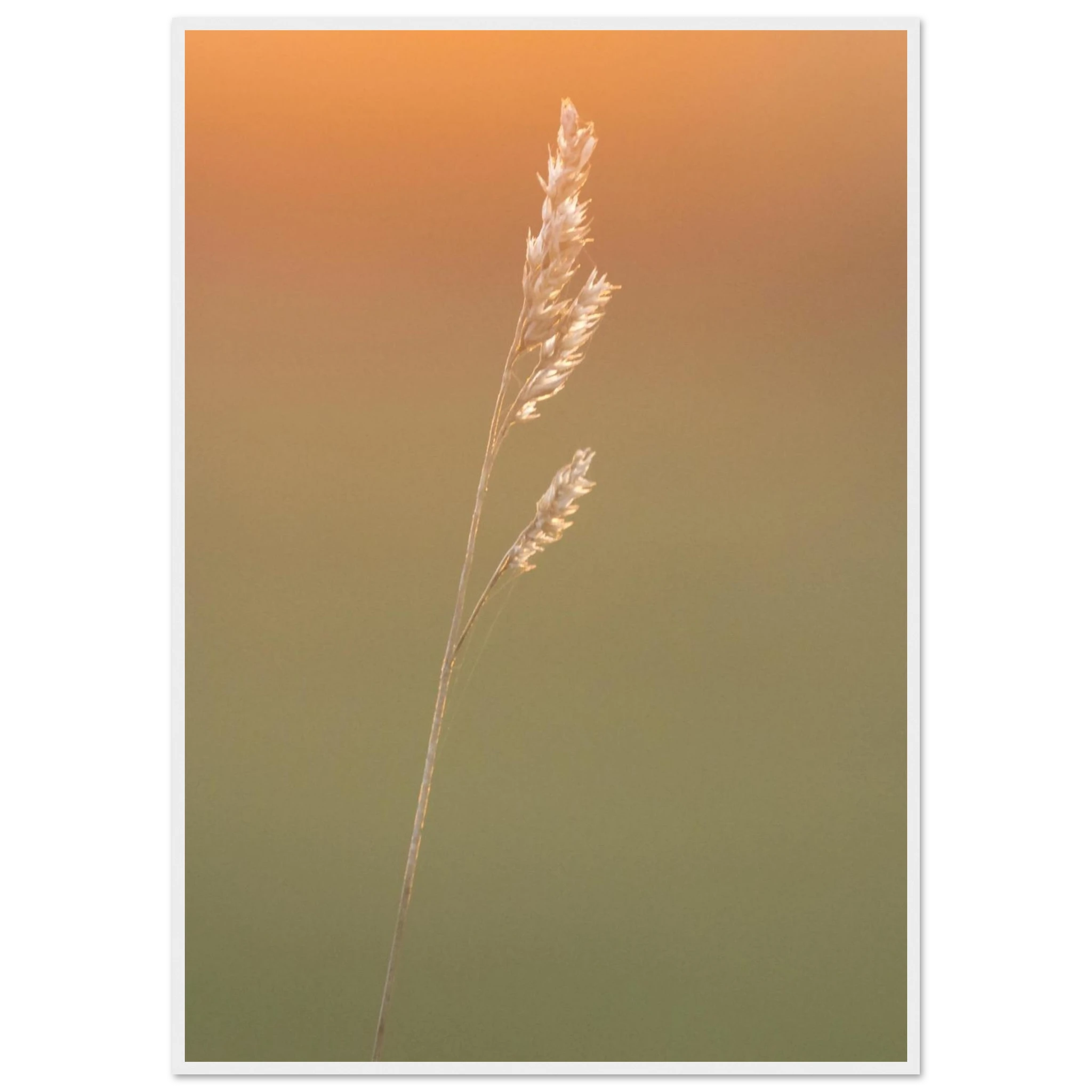 5802d282-c54f-4a0f-8499-2c1f81bbb936
