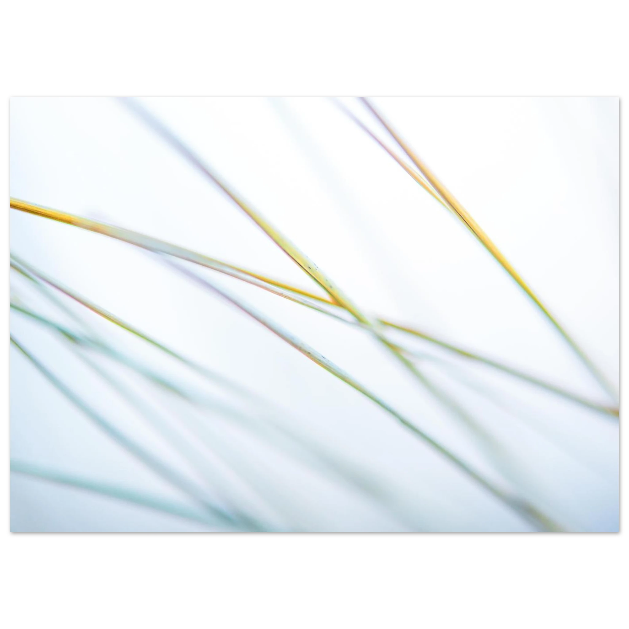 5865d406-2fd3-4a30-a111-59e9401c29ac
