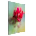 59659704-7dd0-4fcf-87a4-d6a84ce29888