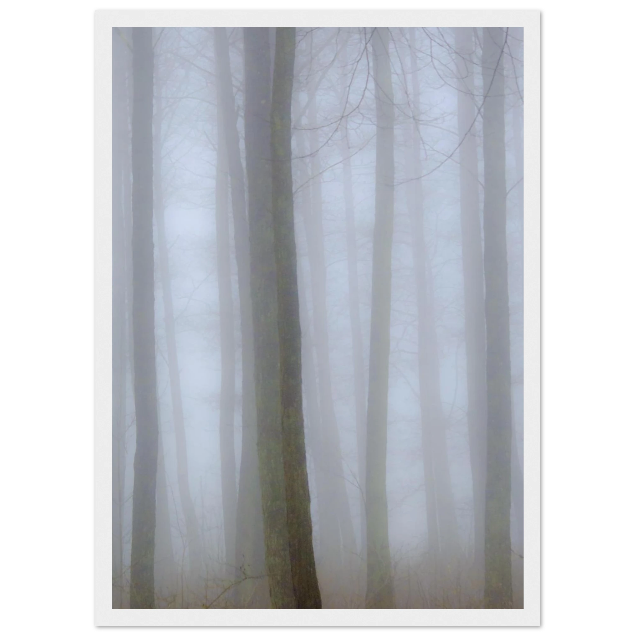 598fb134-f0c9-420b-a0d2-bc2cefce831a