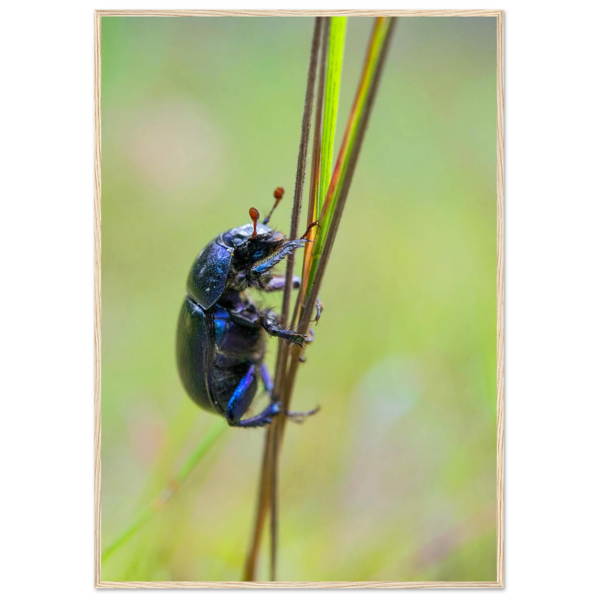 59aad58b-f9d3-4436-a0c9-2df232ad235b
