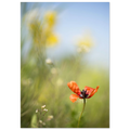 5b7ababb-bf32-4041-8e88-bb2eda8df640