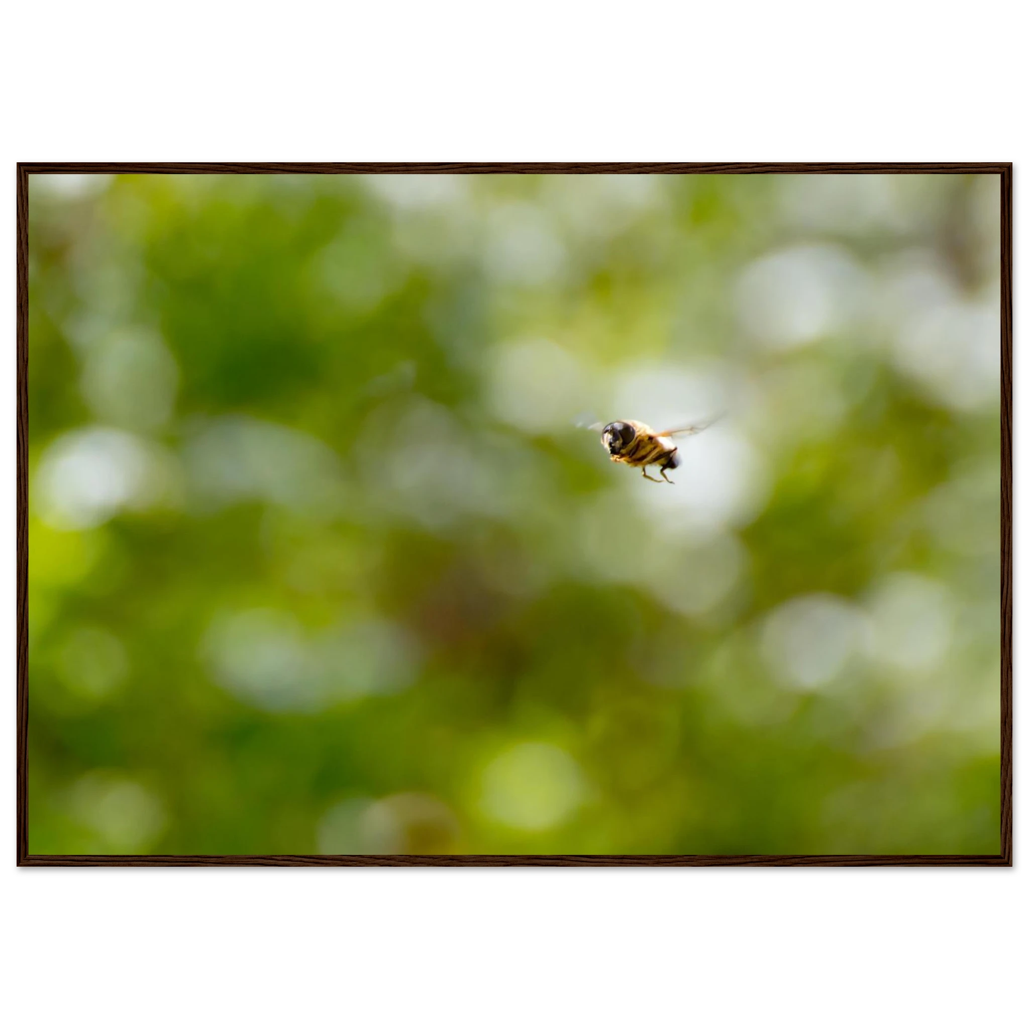 5b87c63e-2802-471f-8743-f054ef98e9e4