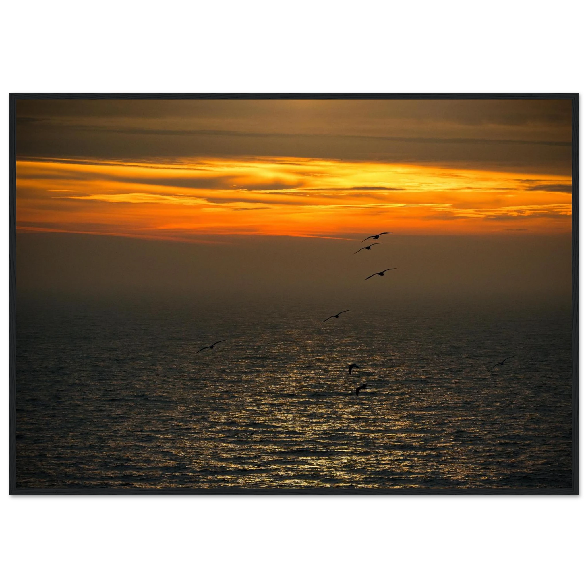 5c041384-b2ad-4c8c-a60e-36d32689b6dd