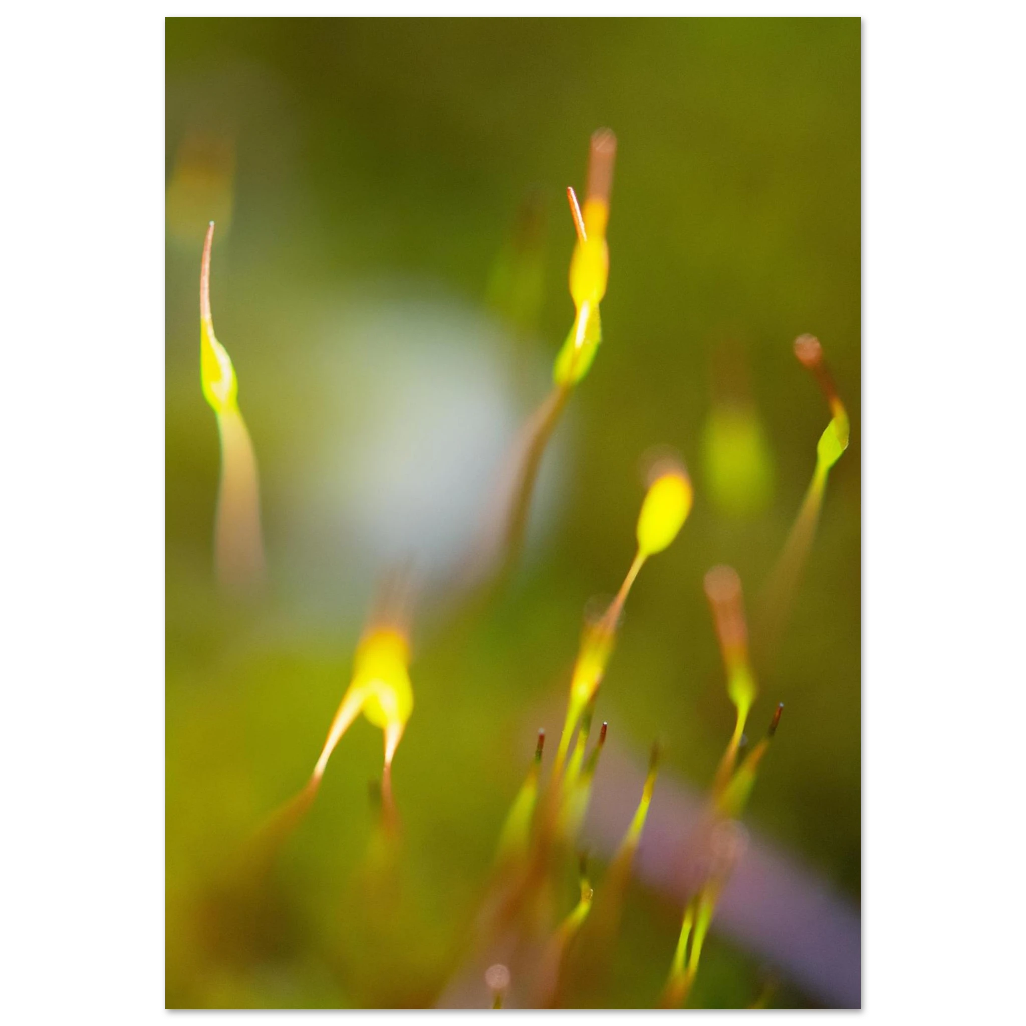 5ce314a4-728d-4e36-af62-a7affbf3744a