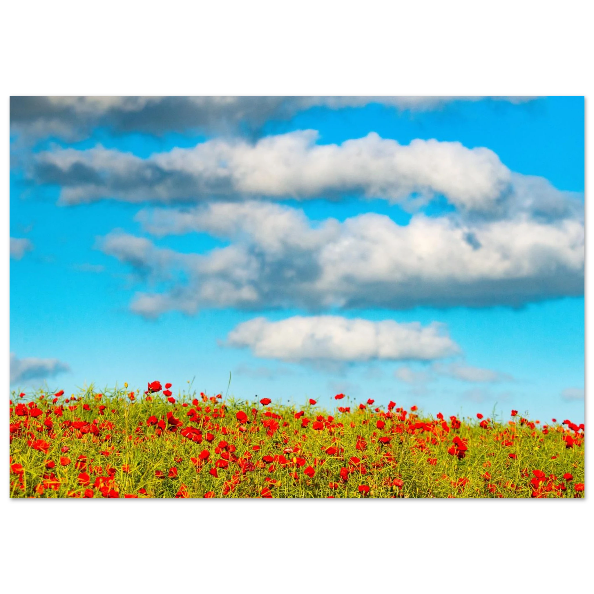 5d397d14-f782-4bad-a6fc-7ac14cffd456