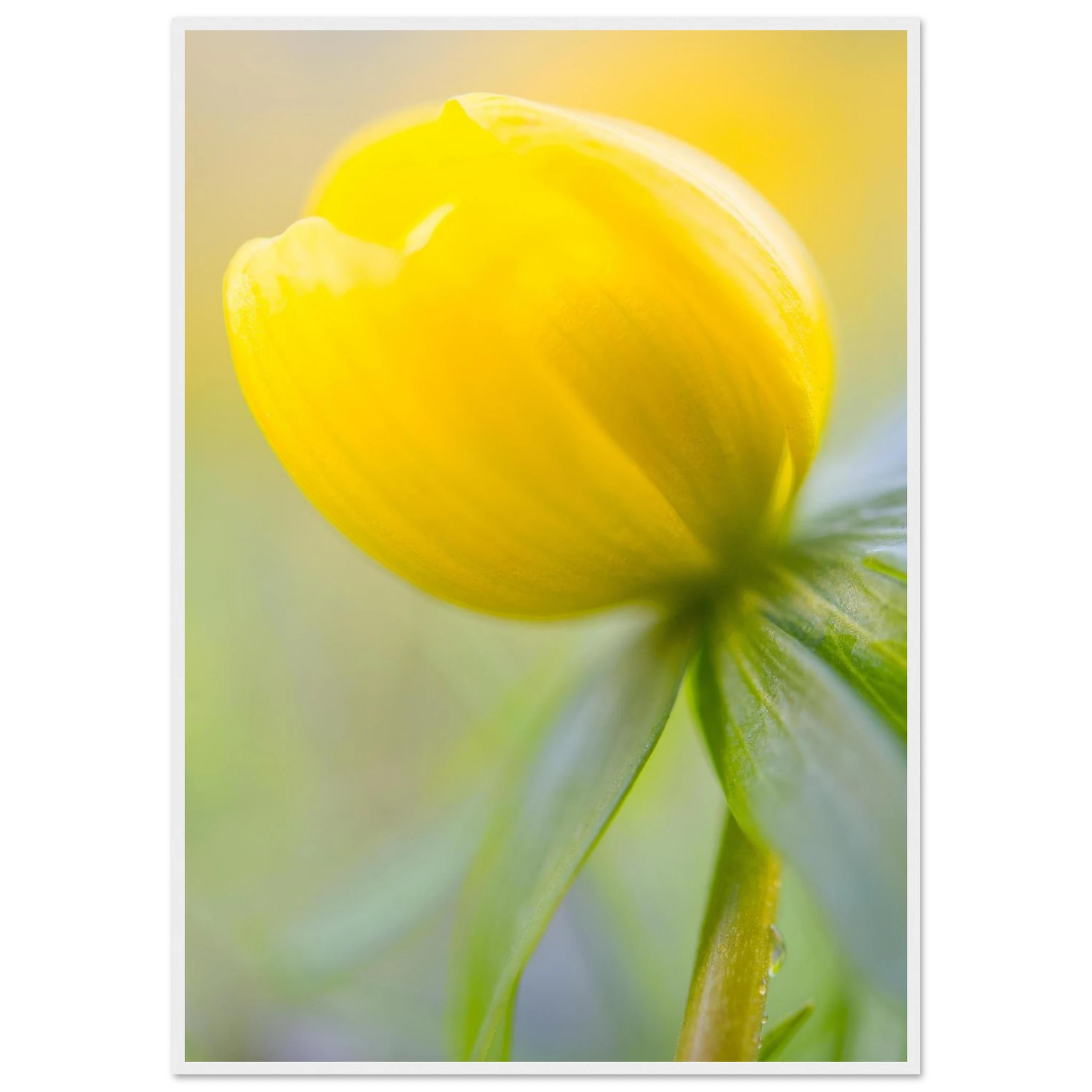 5d427b3b-973f-43d1-89a4-da44622d7dbb