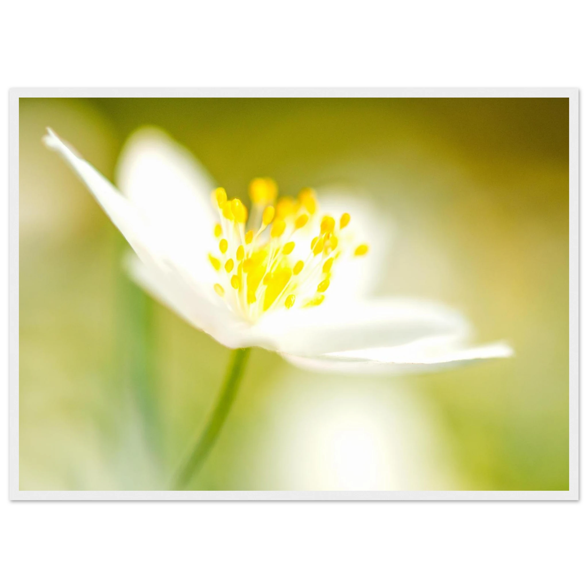 5d893b80-2d75-409c-8c33-63661532339a
