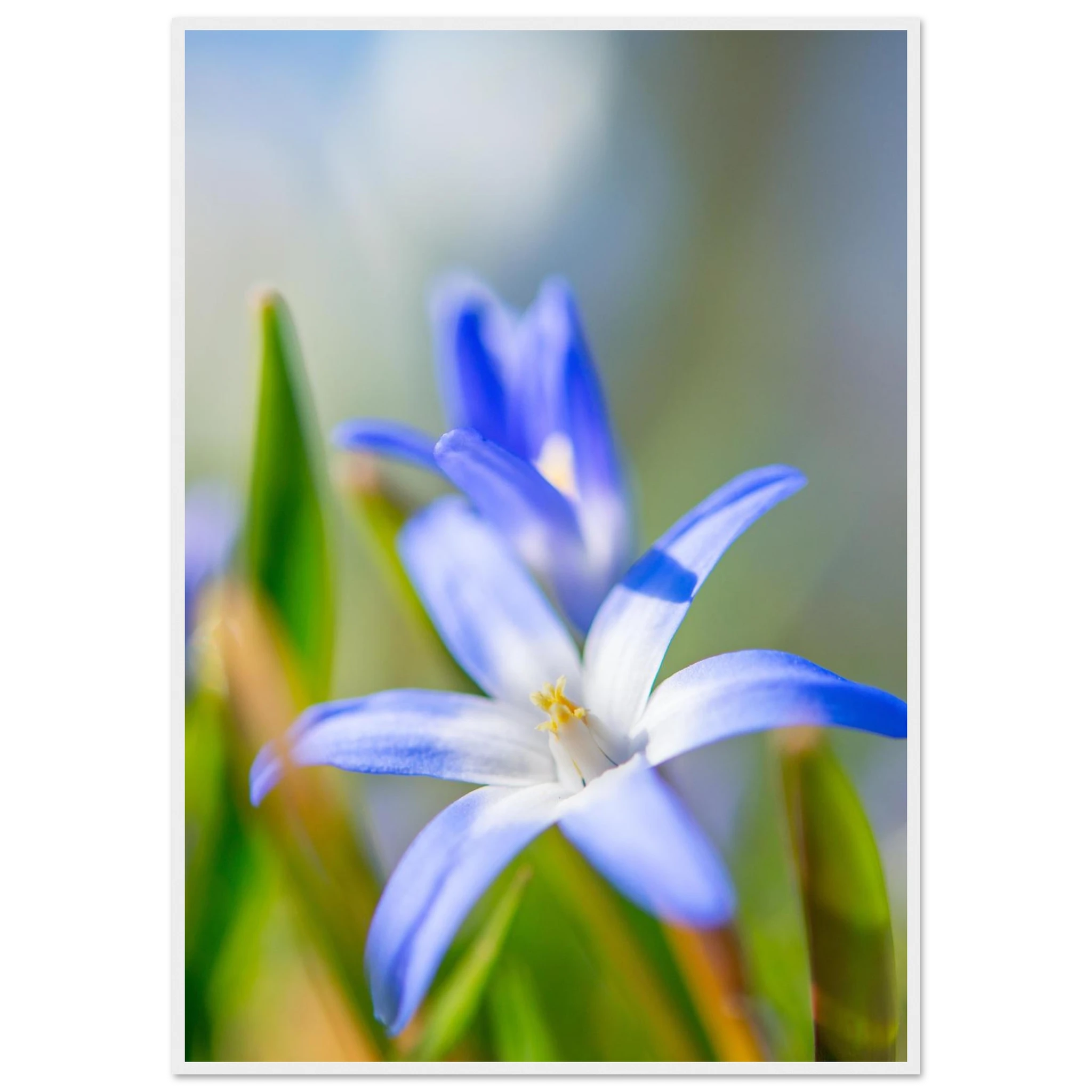 5d8f62c8-ef7e-4247-bfc0-c75149434784