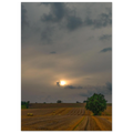 5db0c063-4821-41b6-beb3-b2398d389463