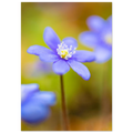 5f368468-265d-4e59-a0fa-7815bcb643dc