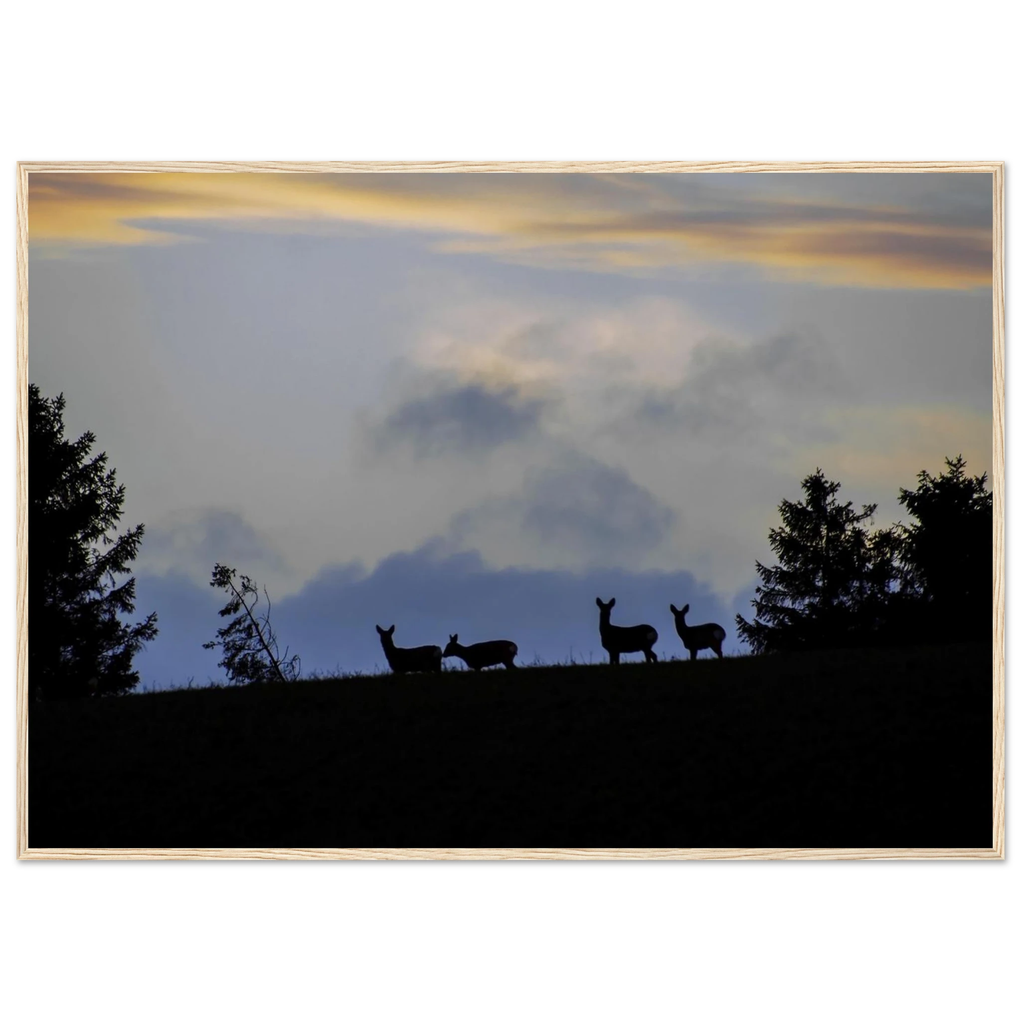 5f562269-49ec-4fcd-84b7-2ad952db0953